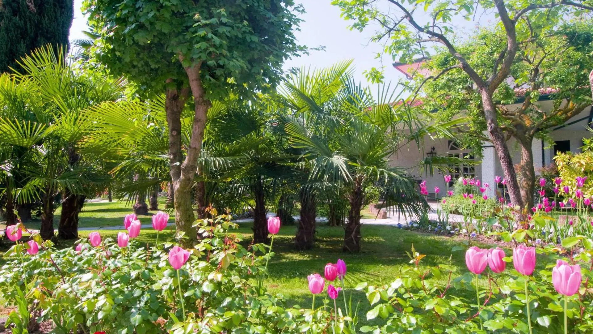 Hotel Grand Torino Abano Terme
