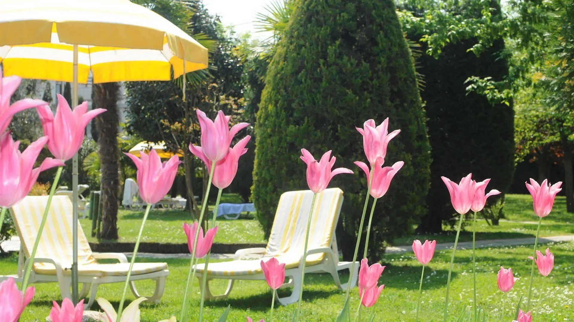 Hotel Grand Torino Abano Terme